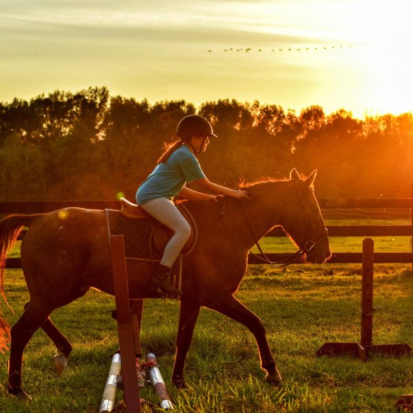 girl on horse with sunset