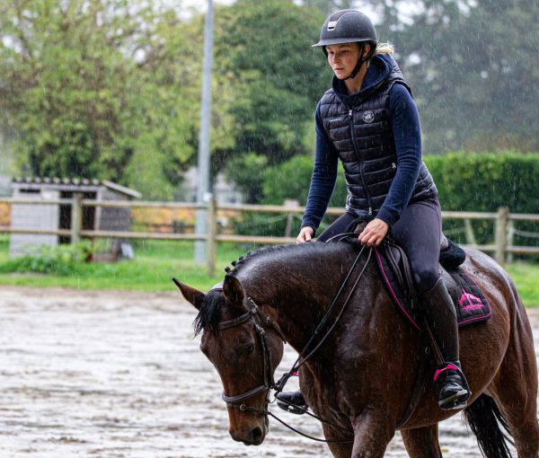brown horse and rider in rain